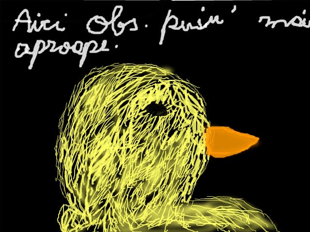 puiul2