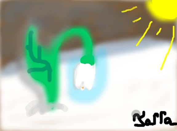 Tarra13