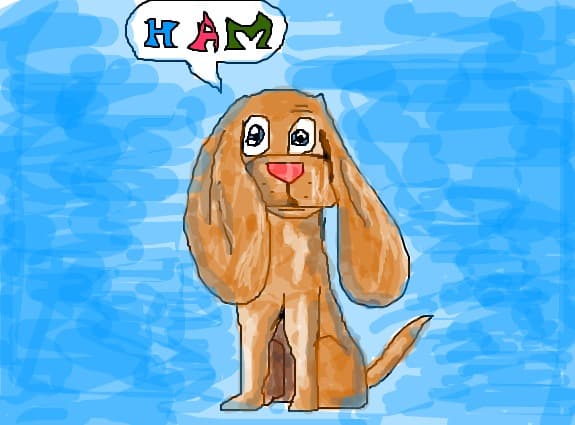 the dog