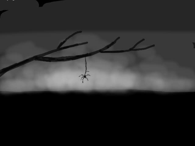 spider