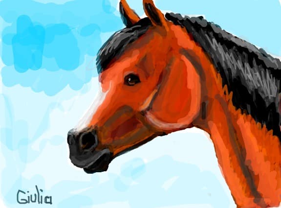 Serenita\'