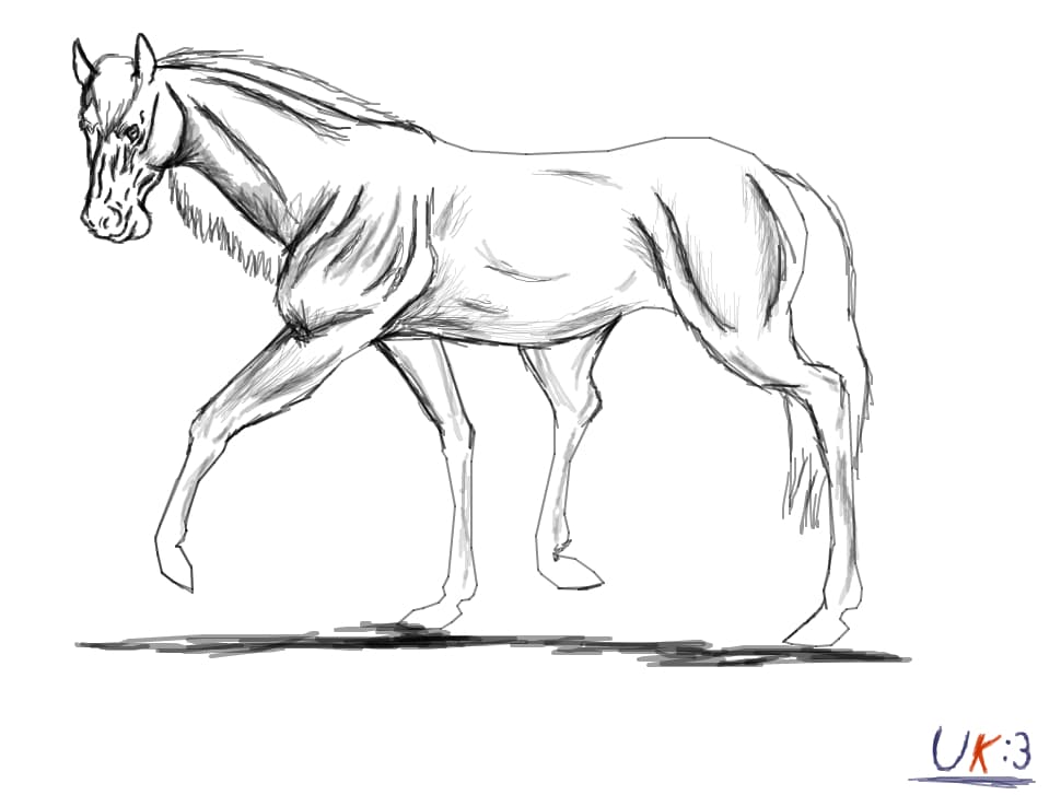 Walking Horse