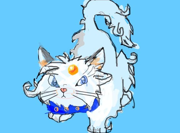 sant o pisica frumoasa miau