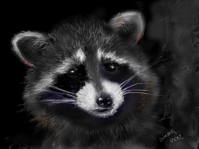 raton 2