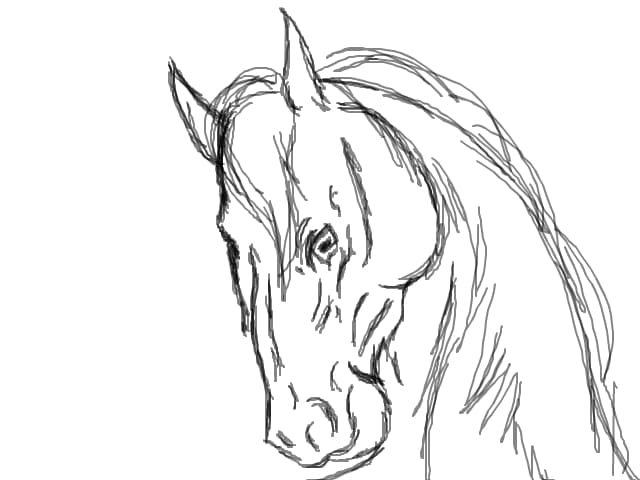 Horse