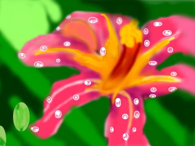 o floare