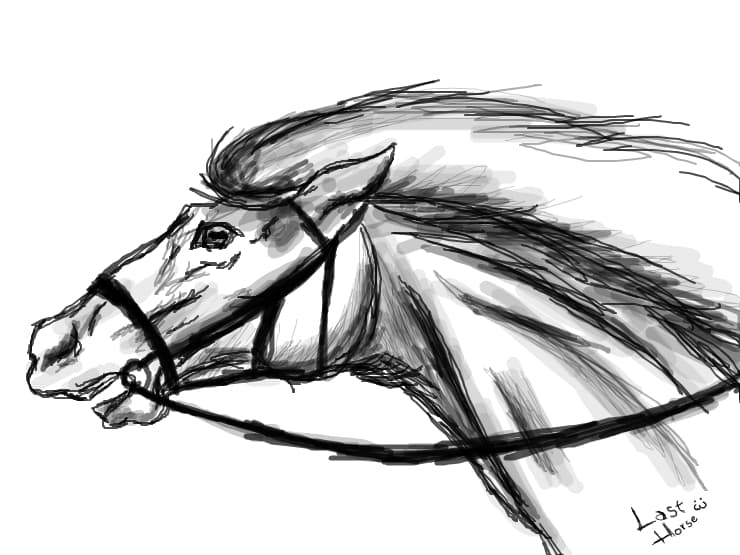 Race Horse