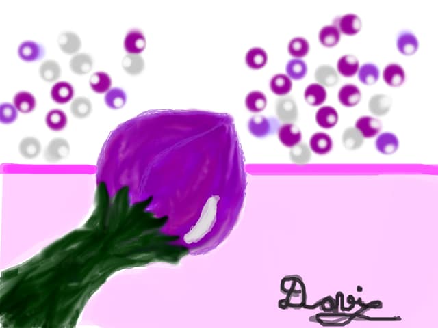 floare