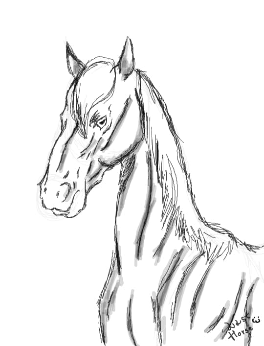 Horse