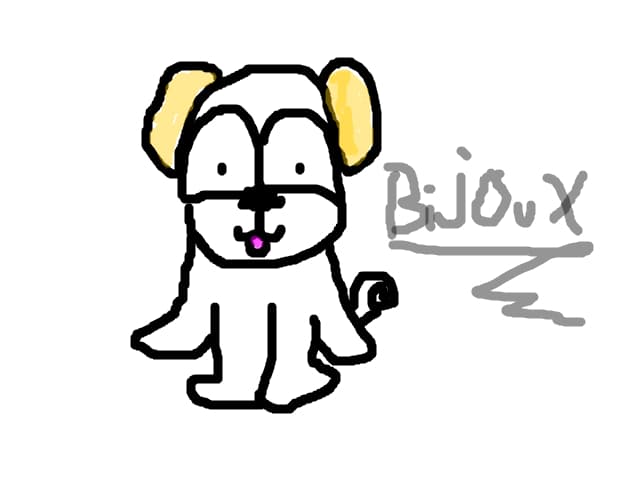 Acesta este Bichonul meu havanez