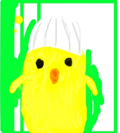 un pui