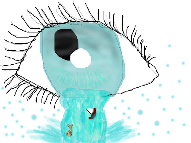 Marine eye terminat]