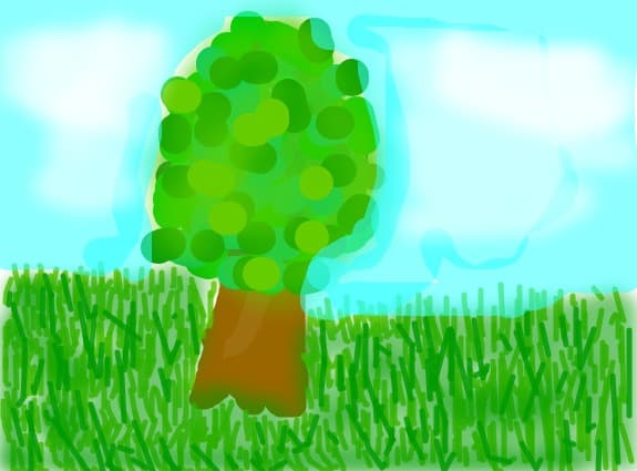 pom