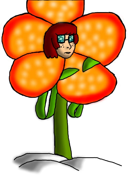 Velma orange strange Raflessia-scuze ca a durat cam mult,dar imi dadea eroare