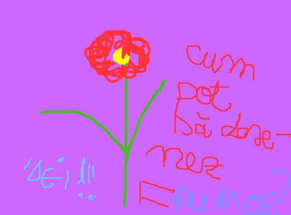 flore