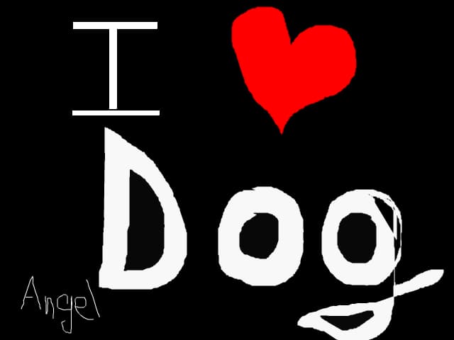 i love dog!