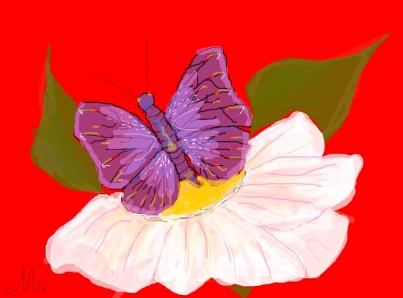 Desen 11798 modificat:fluture