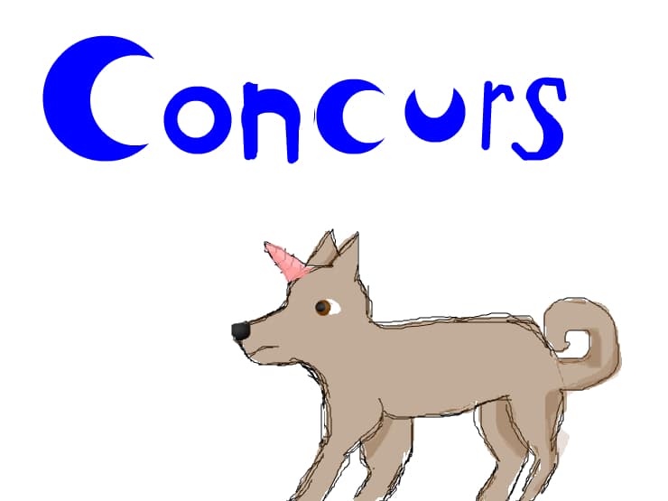 concurs detalii la profil
