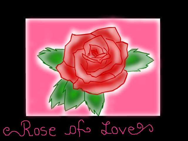 The rose of love
