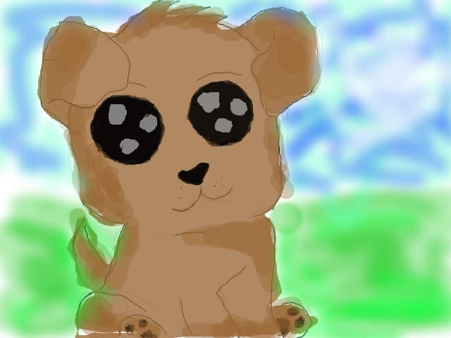 a cute dog