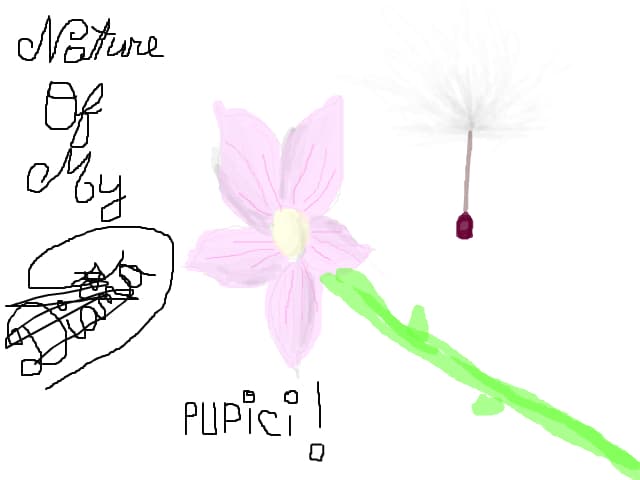 Nature Of My