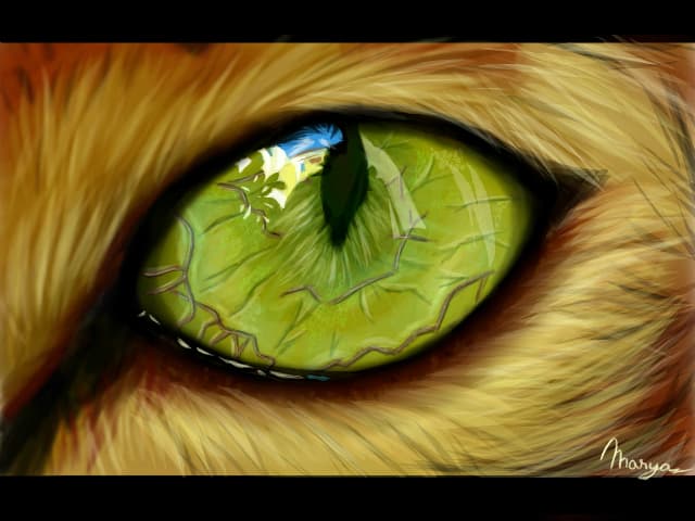 Verde...