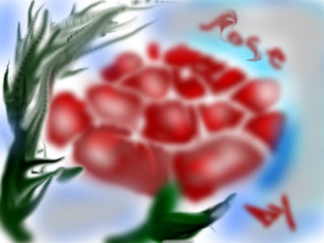 rose
