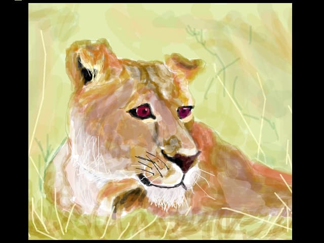 Lioness