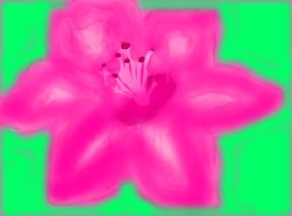 CRIN "RENOIR"