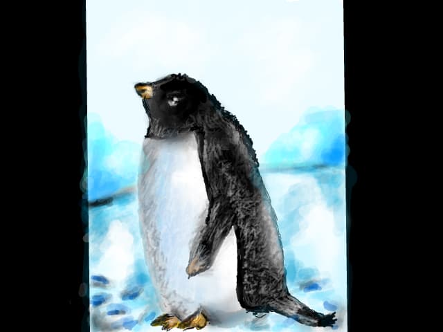 pinguin