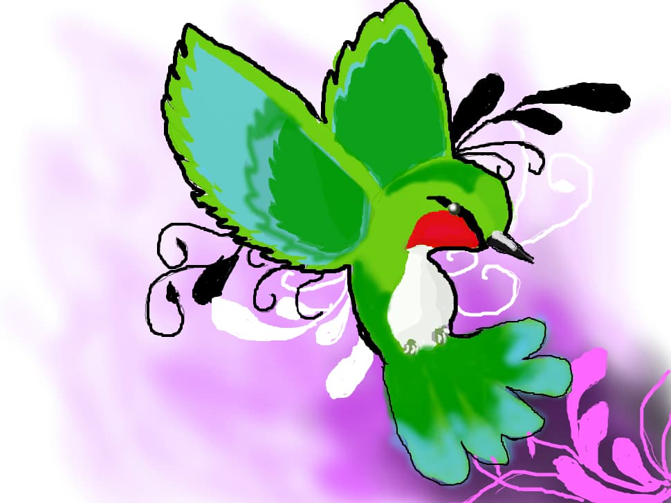 COLIBRI