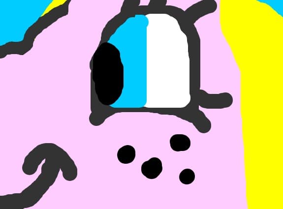 Pony