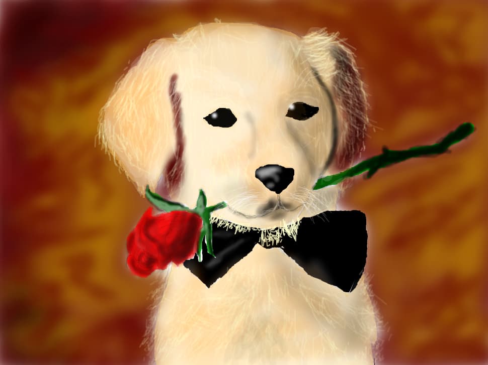 CUTE PUPPY