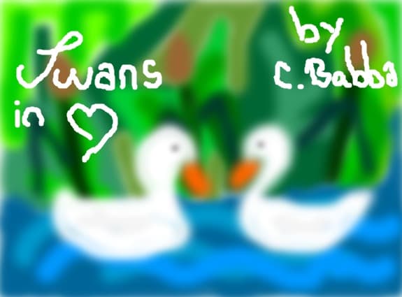 Swans In Love