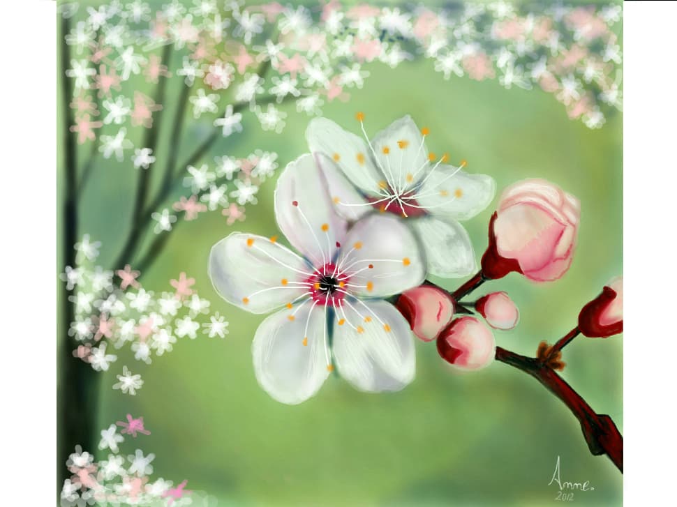 ..Flori de cires..