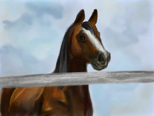 Horse