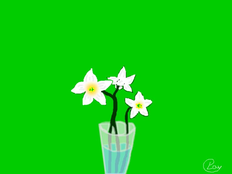 Floare de camp