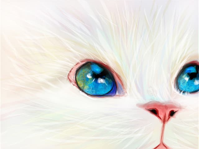 Color Cat