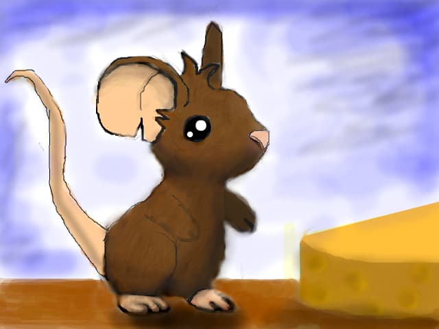 transformice