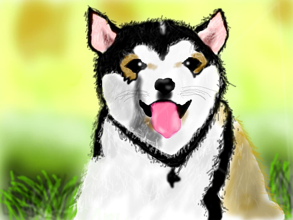 DOG