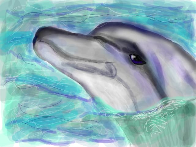 Delfin