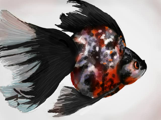 Goldfish I
