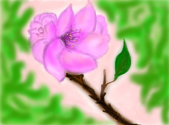 spring flowers