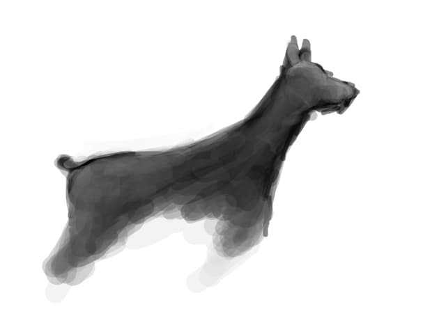 dog
