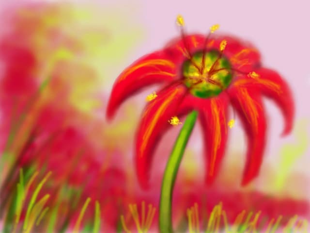 floare rosie