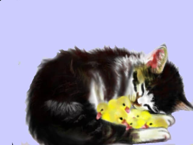 pisi
