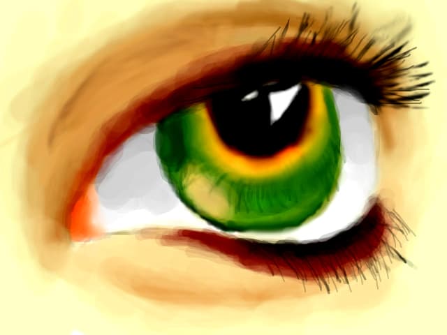 eye