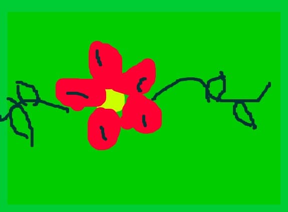 flaoer