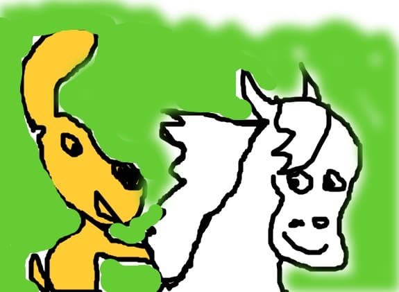 pica riding