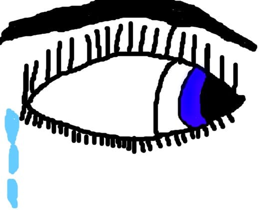 Ochiul